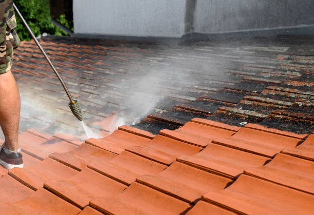 Best Commercial Pressure Washing  in Muscatine, IA