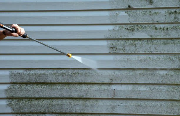 Best Roof Pressure Washing  in Muscatine, IA