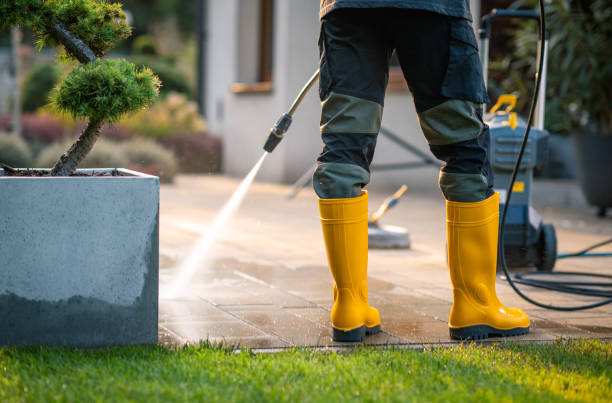 Best Pressure Washing Services for Businesses  in Muscatine, IA